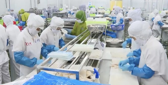 Xuất khẩu thủy sản Thanh Hóa - Một năm với nhiều khởi sắc- Ảnh 2. Xuất khẩu thủy sản Thanh Hóa - Một năm với nhiều khởi sắc- Ảnh 2.