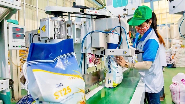 Những “cơn gió ngược” thử thách xuất khẩu Nghệ An- Ảnh 3. Những “cơn gió ngược” thử thách xuất khẩu Nghệ An- Ảnh 3.