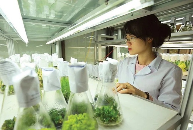 Đà Nẵng: Đầu tư hơn 56 tỷ đồng nâng cấp Trung tâm Công nghệ sinh học- Ảnh 1. Đà Nẵng: Đầu tư hơn 56 tỷ đồng nâng cấp Trung tâm Công nghệ sinh học- Ảnh 1.