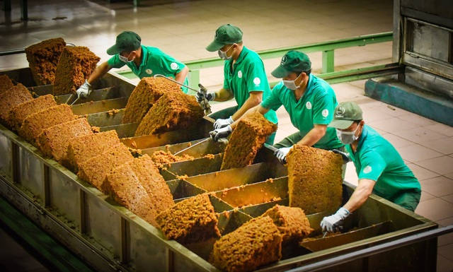 Tập đoàn Công nghiệp Cao su Việt Nam tuyển dụng nhiều vị trí- Ảnh 3. Tập đoàn Công nghiệp Cao su Việt Nam tuyển dụng nhiều vị trí- Ảnh 3.