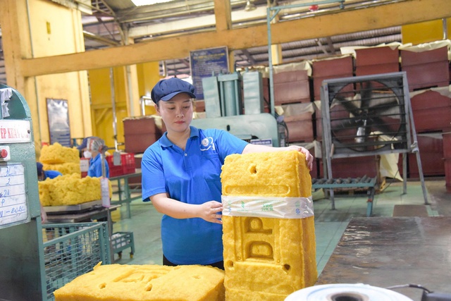 Tập đoàn Công nghiệp Cao su Việt Nam tuyển dụng nhiều vị trí- Ảnh 2. Tập đoàn Công nghiệp Cao su Việt Nam tuyển dụng nhiều vị trí- Ảnh 2.