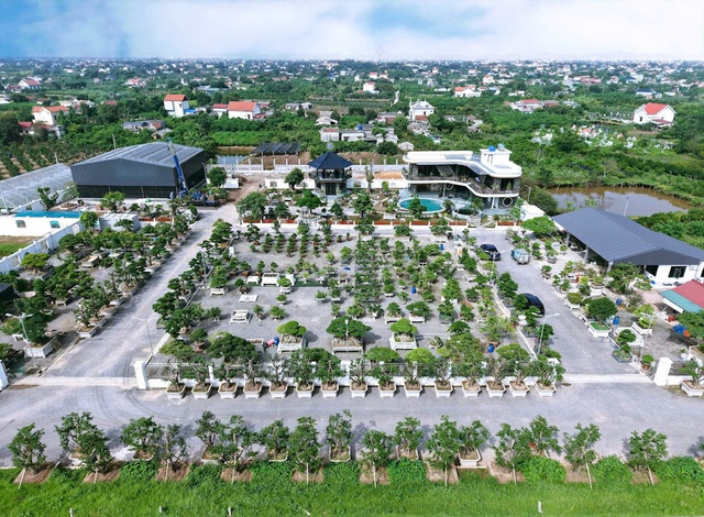 HTX Cây cảnh Bách Thuận: "Ươm xanh" diện mạo nông thôn- Ảnh 1.