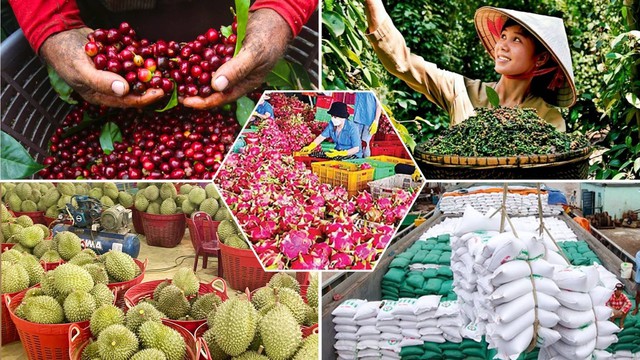 Năm 2025, số lần cảnh báo đối với nông sản Việt Nam tại thị trường EU giảm mạnh- Ảnh 1.