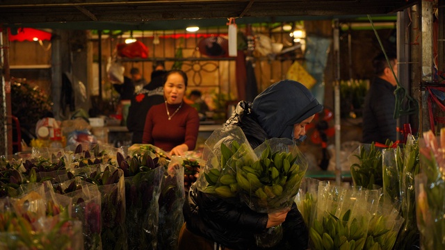 “Những bông hoa” sớm nở giữa mùa Đông Hà Nội- Ảnh 5.