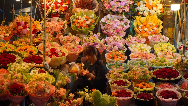 “Những bông hoa” sớm nở giữa mùa Đông Hà Nội- Ảnh 6.