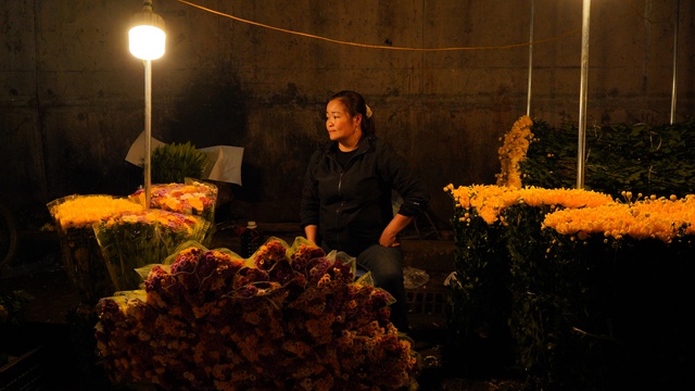 “Những bông hoa” sớm nở giữa mùa Đông Hà Nội- Ảnh 3.