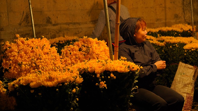 “Những bông hoa” sớm nở giữa mùa Đông Hà Nội- Ảnh 8.
