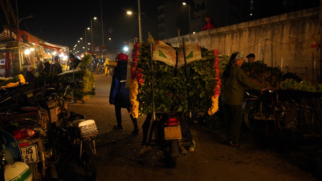 “Những bông hoa” sớm nở giữa mùa Đông Hà Nội- Ảnh 1.