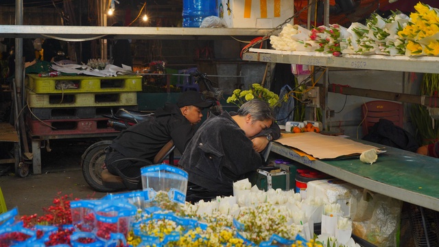 “Những bông hoa” sớm nở giữa mùa Đông Hà Nội- Ảnh 7.