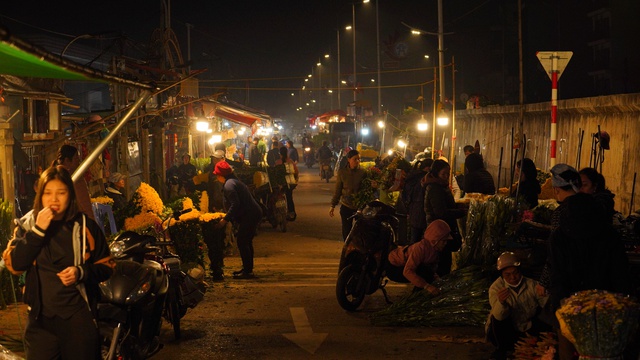 “Những bông hoa” sớm nở giữa mùa Đông Hà Nội- Ảnh 2.