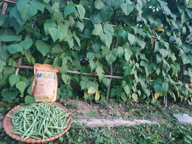 Phân loại rác tại nguồn: Bước đi nhỏ cho môi trường, lợi ích lớn cho nhà nông- Ảnh 3.