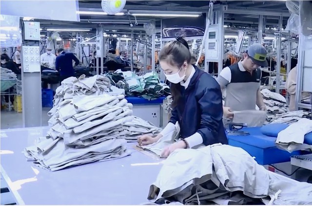 Thuế Thanh Hóa: Tăng cường đồng hành để chính sách đi vào cuộc sống- Ảnh 1.