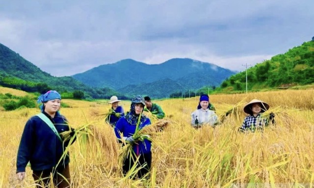 Khơi mở giá trị đặc hữu - Nâng tầm thương hiệu nông sản Thanh Hóa- Ảnh 2.