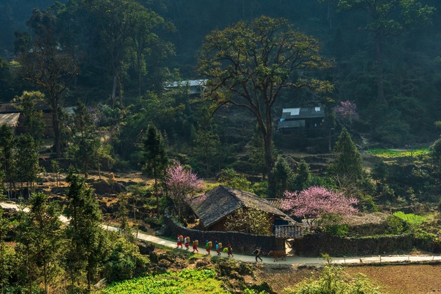 Cao nguyên đá Đồng Văn được vinh danh “Điểm đến văn hóa hàng đầu thế giới năm 2025”- Ảnh 2. Cao nguyên đá Đồng Văn được vinh danh “Điểm đến văn hóa hàng đầu thế giới năm 2025”- Ảnh 2.