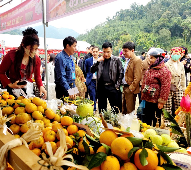 Thái Nguyên: Tưng bừng Ngày hội cam, quýt và phiên chợ nông sản xã Bạch Thông năm 2025- Ảnh 3.