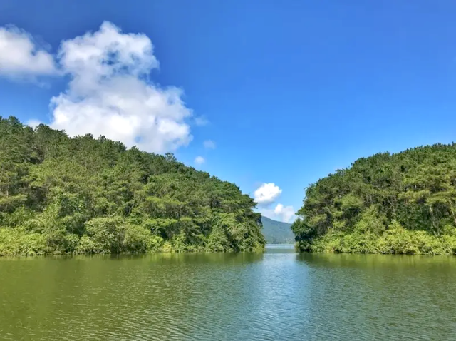 Tiềm năng du lịch sinh thái Bắc Giang: Từ rừng Tây Yên Tử đến những con sông hữu tình- Ảnh 5.