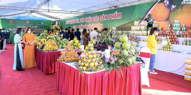 Nông sản Bắc Giang: Hướng tới sự bền vững và tăng cường giá trị thương hiệu- Ảnh 1.