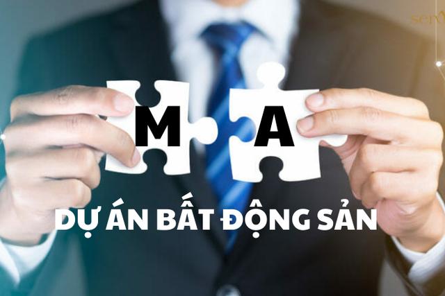 M&A bất động sản 2025 tiếp tục nghiêng về khối ngoại- Ảnh 1.