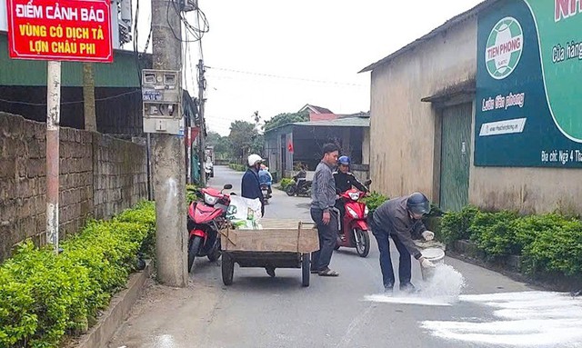 Hà Tĩnh: Khẩn cấp phòng, chống bệnh dịch tả lợn Châu Phi tránh lan rộng- Ảnh 1.