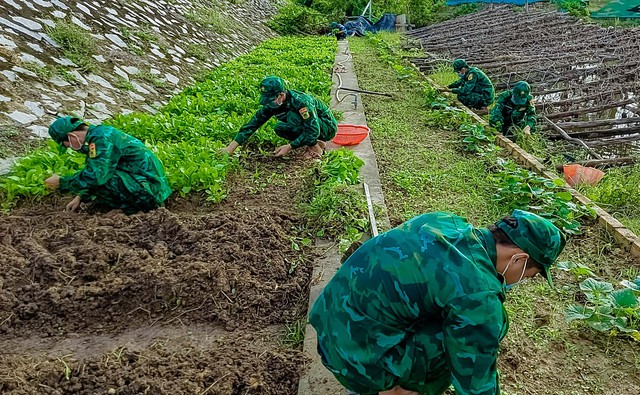 Đồn Biên phòng Phú Mỹ: Biểu dương mô hình, điển hình phong trào thi đua “Dân Vận khéo”- Ảnh 1.