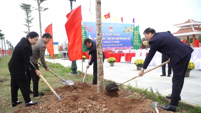 Vĩnh Phúc: Phát động “Tết trồng cây đời đời nhớ ơn Bác Hồ” Xuân Ất Tỵ 2025- Ảnh 5.