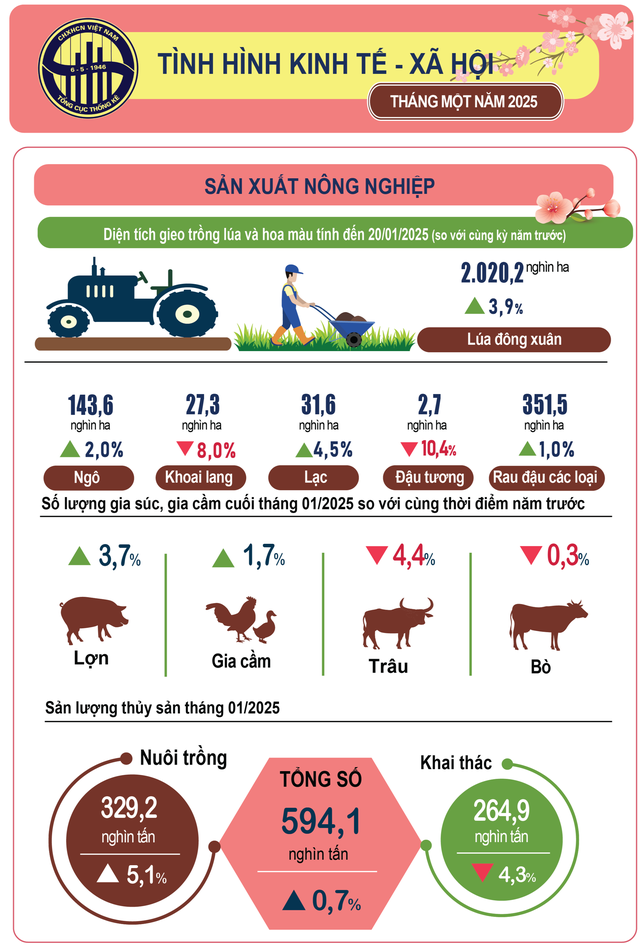 Kinh tế - xã hội tháng 1/2025 duy trì đà phục hồi tích cực- Ảnh 1.