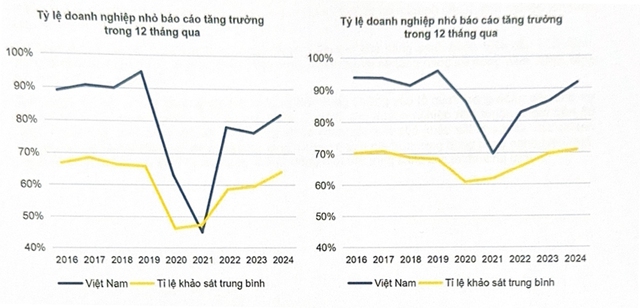 Doanh nghiệp nhỏ Việt Nam tăng trưởng cao nhất 4 năm- Ảnh 1.