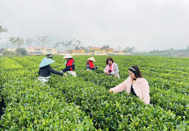 Hành trình đưa sản phẩm OCOP 'xuất ngoại'- Ảnh 1.