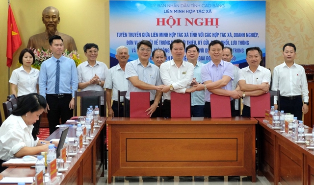 Tuyên truyền hiệu quả – Kết nối thị trường bền vững- Ảnh 3.