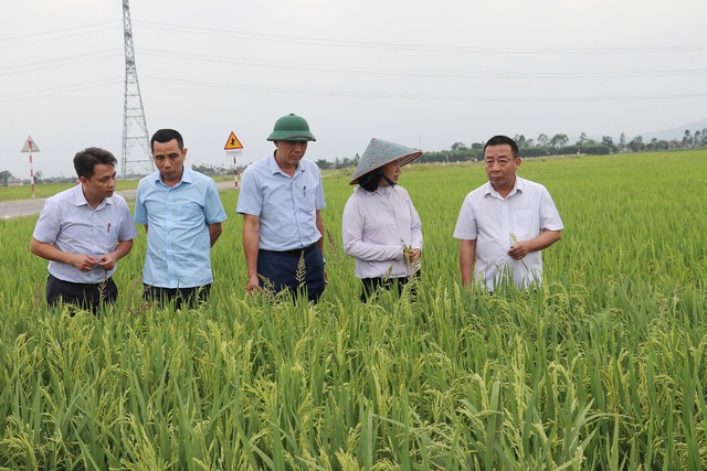 Nghệ An: Kiểm tra tình hình sản xuất nông nghiệp tại huyện Tân Kỳ và Diễn Châu- Ảnh 2. Nghệ An: Kiểm tra tình hình sản xuất nông nghiệp tại huyện Tân Kỳ và Diễn Châu- Ảnh 2.