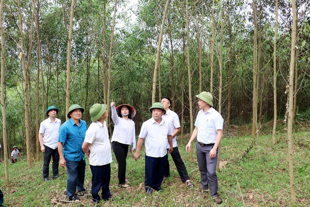 Nghệ An: Kiểm tra tình hình sản xuất nông nghiệp tại huyện Tân Kỳ và Diễn Châu- Ảnh 1. Nghệ An: Kiểm tra tình hình sản xuất nông nghiệp tại huyện Tân Kỳ và Diễn Châu- Ảnh 1.