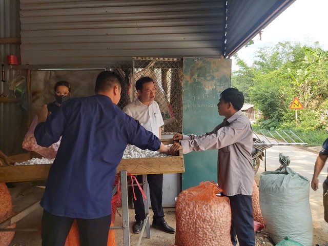 Cao Bằng: Tuyên truyền, tư vấn phát triển hợp tác xã tại xã Thượng Hà- Ảnh 1. Cao Bằng: Tuyên truyền, tư vấn phát triển hợp tác xã tại xã Thượng Hà- Ảnh 1.