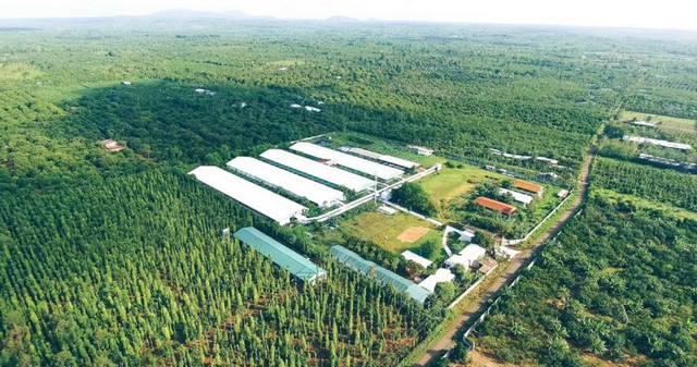 Cải cách thể chế và thúc đẩy phát triển xanh - hiện thực hóa mục tiêu trở thành quốc gia thu nhập cao- Ảnh 1. Cải cách thể chế và thúc đẩy phát triển xanh - hiện thực hóa mục tiêu trở thành quốc gia thu nhập cao- Ảnh 1.