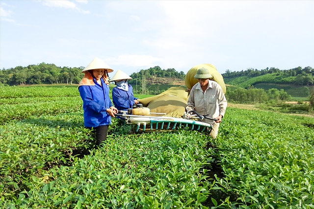 Nghệ An: Đẩy mạnh khoa học, công nghệ, đổi mới sáng tạo và chuyển đổi số trong nông nghiệp- Ảnh 1.