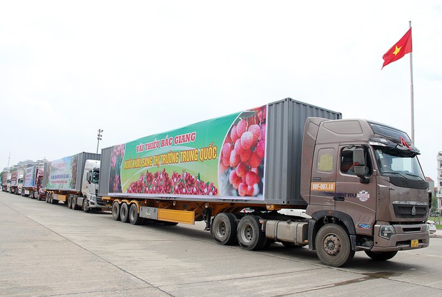 Bắc Giang: Tạo điều kiện thuận lợi nhất để xúc tiến tiêu thụ vải thiều
- Ảnh 2.
