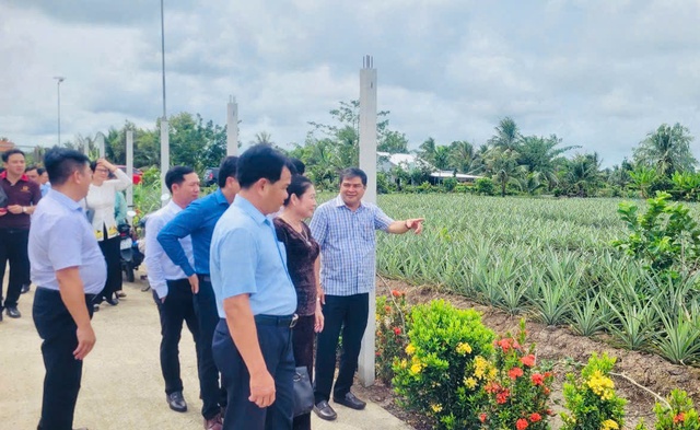 Hậu Giang: Ra mắt mô hình du lịch cộng đồng vùng khóm Cầu Đúc- Ảnh 8. Hậu Giang: Ra mắt mô hình du lịch cộng đồng vùng khóm Cầu Đúc- Ảnh 8.