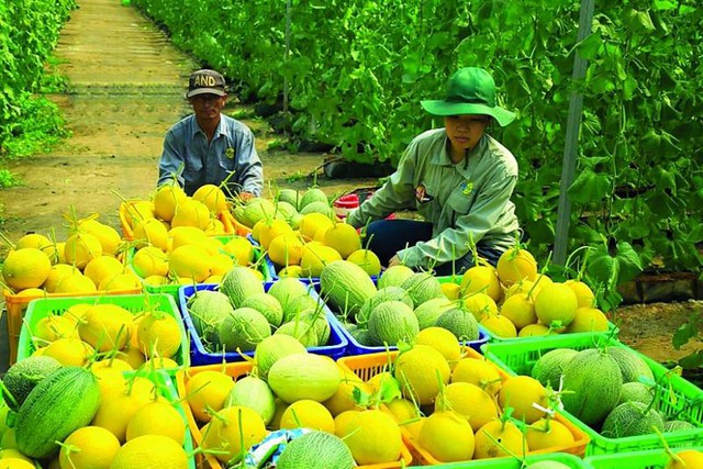 Xuất khẩu sang Canada có thể vượt mốc 11 tỷ USD- Ảnh 1. Xuất khẩu sang Canada có thể vượt mốc 11 tỷ USD- Ảnh 1.