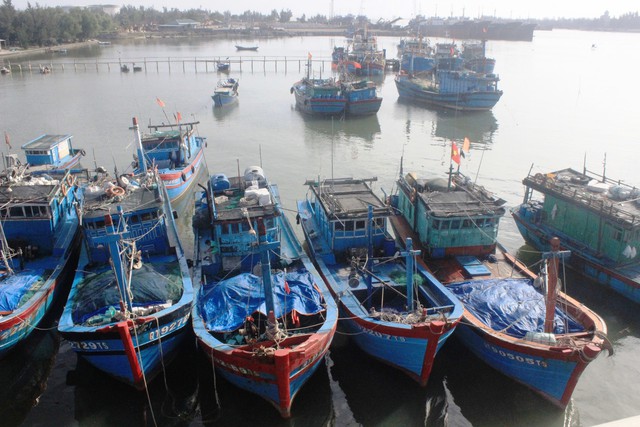 Quảng Trị: Quyết tâm gỡ "thẻ vàng" EC vì nền ngư nghiệp bền vững- Ảnh 1. Quảng Trị: Quyết tâm gỡ "thẻ vàng" EC vì nền ngư nghiệp bền vững- Ảnh 1.