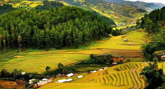Thanh Hóa: Nền tảng số nơi quảng bá, lan tỏa nét đẹp đất và người quê Thanh- Ảnh 1. Thanh Hóa: Nền tảng số nơi quảng bá, lan tỏa nét đẹp đất và người quê Thanh- Ảnh 1.