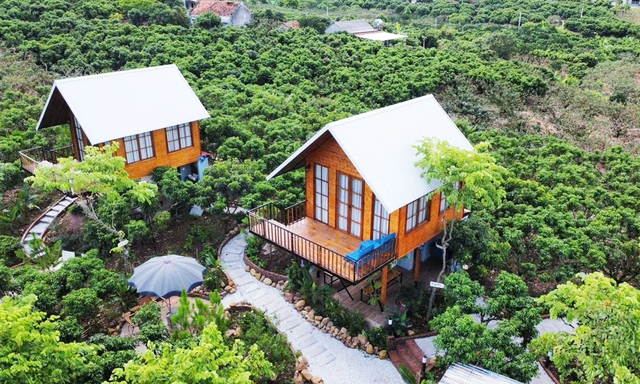 Bắc Giang: Thị xã Chũ sẵn sàng cho mùa du lịch vải thiều- Ảnh 1. Bắc Giang: Thị xã Chũ sẵn sàng cho mùa du lịch vải thiều- Ảnh 1.