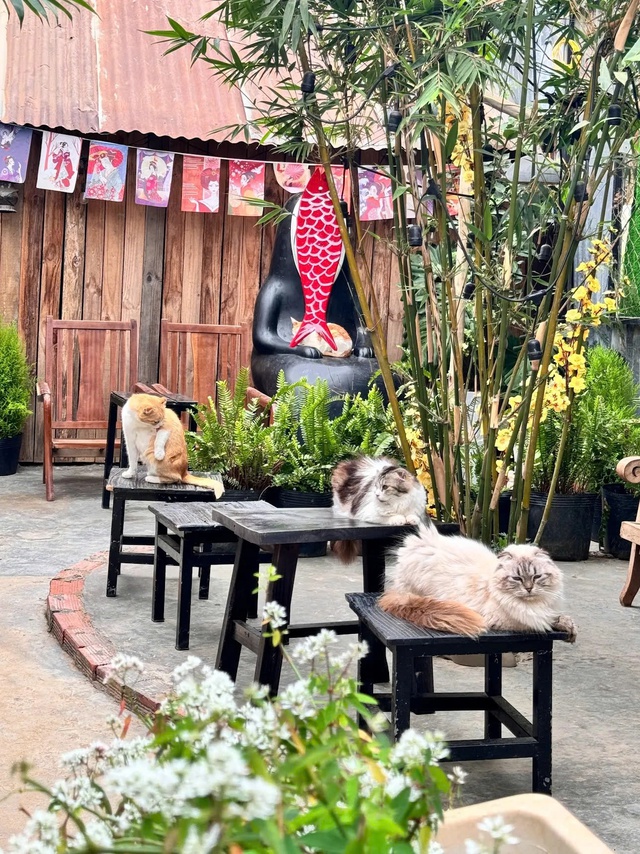 Chủ Thung Lũng Gâu Đà Lạt: Đầu tư nửa tỷ, nợ thêm 300 triệu phải đi phụ hồ để bù lỗ vẫn cố bám trụ vì đâu?- Ảnh 5.