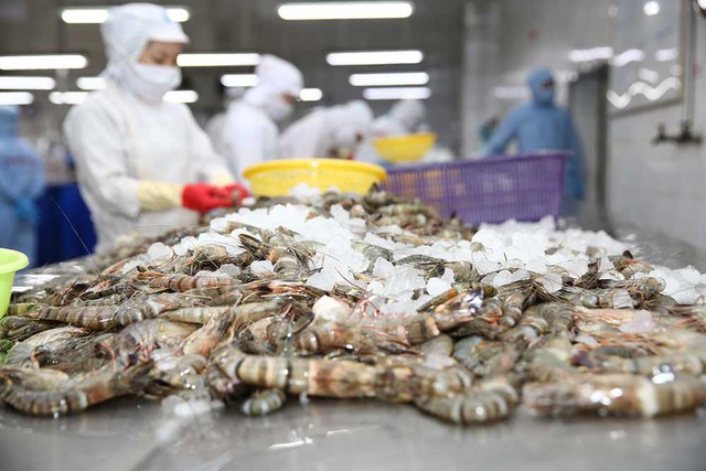 Xuất khẩu thủy sản hướng tới mục tiêu 11 tỷ USD- Ảnh 1. Xuất khẩu thủy sản hướng tới mục tiêu 11 tỷ USD- Ảnh 1.