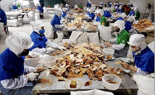 Báo chí: Ngọn hải đăng định hình niềm tin- Ảnh 2. Báo chí: Ngọn hải đăng định hình niềm tin- Ảnh 2.