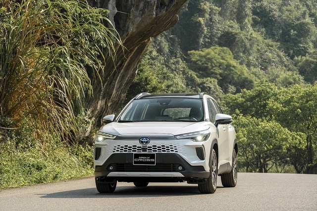 Xe hybrid Việt khẳng định vị thế trên thị trường- Ảnh 1. Xe hybrid Việt khẳng định vị thế trên thị trường- Ảnh 1.