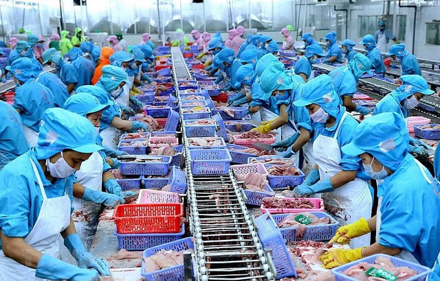 VASEP kiến nghị bảo vệ ngành thủy sản trước nguy cơ thuế quan- Ảnh 1. VASEP kiến nghị bảo vệ ngành thủy sản trước nguy cơ thuế quan- Ảnh 1.