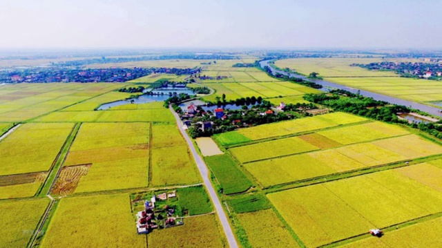 Kéo dài thời gian miễn thuế sử dụng đất nông nghiệp tới hết năm 2030- Ảnh 1. Kéo dài thời gian miễn thuế sử dụng đất nông nghiệp tới hết năm 2030- Ảnh 1.