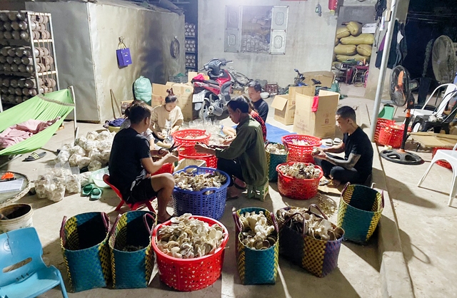 Thái Bình: Những điểm sáng trong công tác lãnh chỉ đạo Đảng ủy xã Tân Lập trước khi kết thúc hoạt động- Ảnh 4. Thái Bình: Những điểm sáng trong công tác lãnh chỉ đạo Đảng ủy xã Tân Lập trước khi kết thúc hoạt động- Ảnh 4.