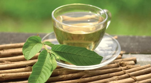 Việt Nam có loại lá chống rụng tóc, củng cố chân tóc cực tốt: Biết dùng còn khỏe tim mạch, tiêu hóa- Ảnh 3. Việt Nam có loại lá chống rụng tóc, củng cố chân tóc cực tốt: Biết dùng còn khỏe tim mạch, tiêu hóa- Ảnh 3.