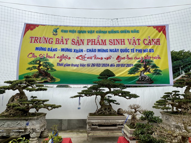 Thái Bình: Những điểm sáng trong công tác lãnh chỉ đạo Đảng ủy xã Tân Lập trước khi kết thúc hoạt động- Ảnh 3. Thái Bình: Những điểm sáng trong công tác lãnh chỉ đạo Đảng ủy xã Tân Lập trước khi kết thúc hoạt động- Ảnh 3.