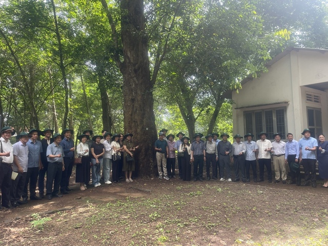 Huyền thoại cao su Đồng Nai: Dấu ấn 50 năm tự hào và trách nhiệm- Ảnh 4. Huyền thoại cao su Đồng Nai: Dấu ấn 50 năm tự hào và trách nhiệm- Ảnh 4.